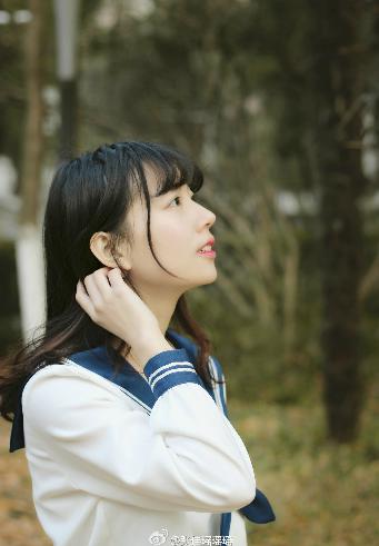 汪汪队立大功全集免费